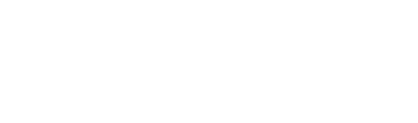 Momentum Marketing Solutions